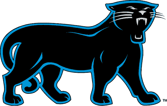 Carolina Panthers 1995-2011 Alternate Logo iron on transfers for clothing